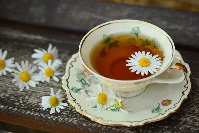 Les meilleures infusions pour une hydratation intense