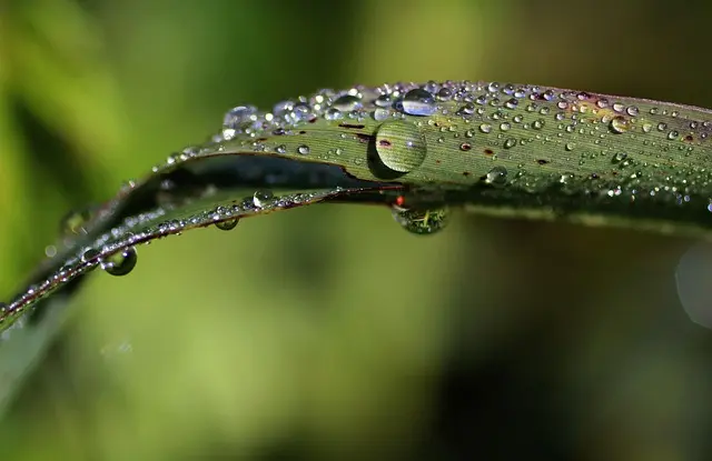 Les bienfaits étonnants de l'hydratation pour la peau