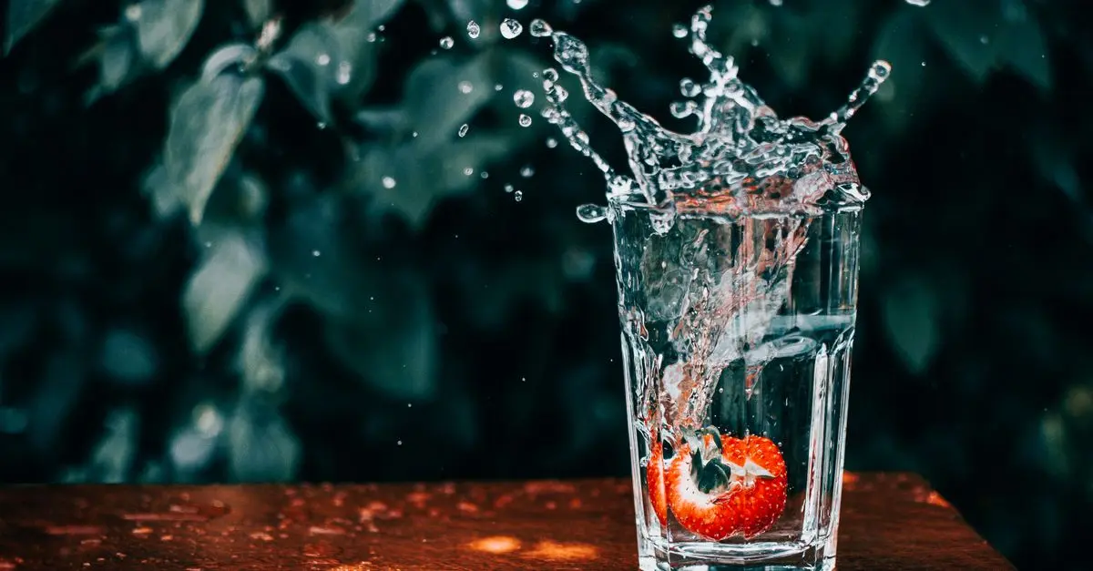 Hydratation et régime végétalien : conseils adaptés