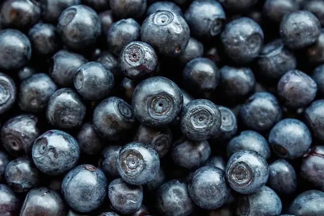 Hydratation intense : 10 aliments à privilégier pour rester hydraté