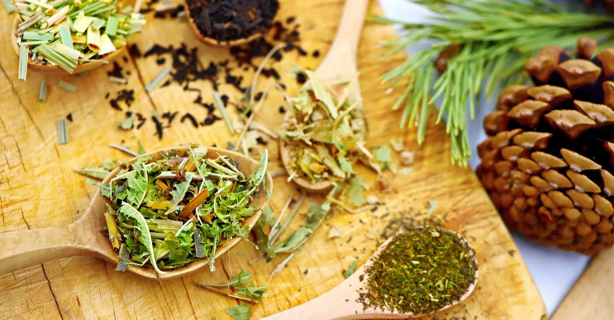 Les meilleures infusions pour une hydratation intense