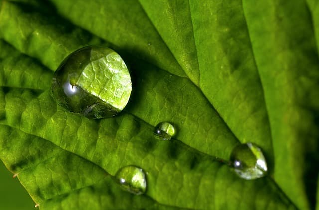 Comment améliorer l'hydratation intense de votre peau