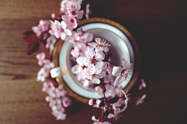 L'hydratation intense et la peau : le guide ultime