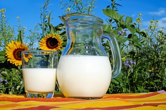 Hydratation intense : les avantages insoupçonnés des eaux infusées