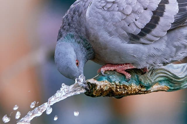 Hydratation Intense : 5 étapes pour un apport maximal en eau